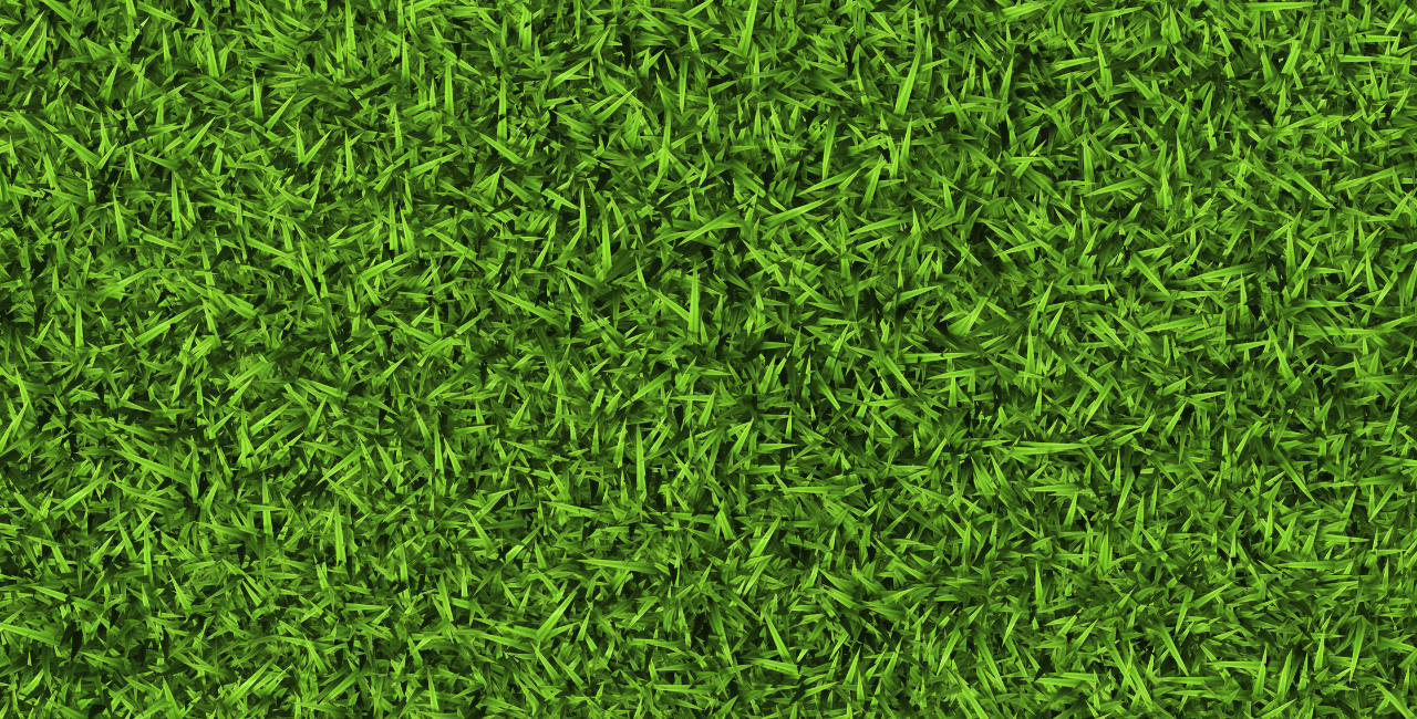 Top Facts about Artificial Grass What You Should Know Before Installing