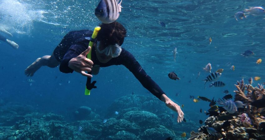 dive gear accessories