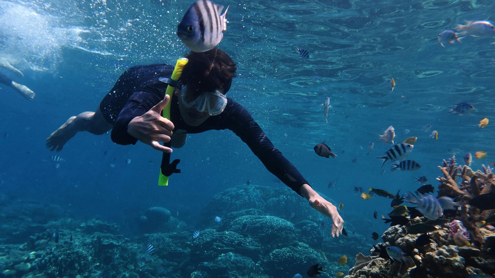 dive gear accessories