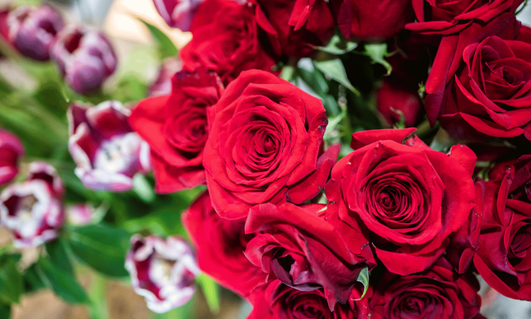 Express Your Love Beautifully With Valentine’s Day Flowers