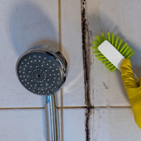 tile and grout